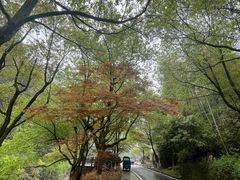 -长谷洞天
