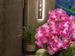 -祥记餐饮•豫粤珍味(金隅大厦店)