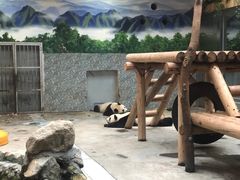 -西安秦岭野生动物园