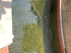 -侠成水上农庄(工业大道店)