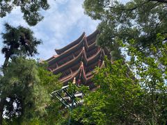 -黄鹤楼公园(黄鹤楼)