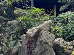 -龙井壹号·茶缘山景宴(龙井村店)