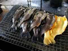 -可心烤鱼