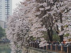 -红星桥(地铁站)