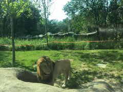 -北京野生动物园