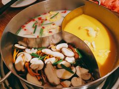 青瓷金汤锅-青瓷火锅料理(西单大悦城店)