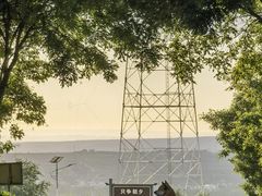 -红崖峡谷景区