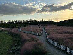 -嘉北郊野公园