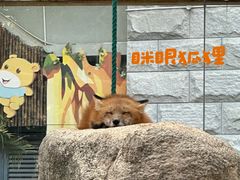 -灵玲国际马戏城