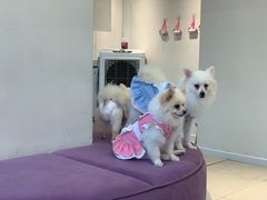 -怪兽屋·羊驼·猫咖·狗咖(俊华广场店)