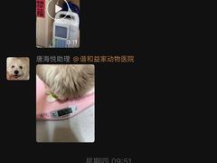 -谐和益家动物医院·免疫绝育·血液透析·宠保定点医院(高新伊藤分院)
