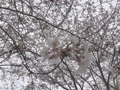 -龙美术馆(西岸馆)