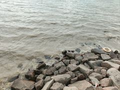-深圳湾公园(南山区)