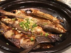-食家鸽园