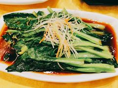 白灼菜心-陈麻婆豆腐(春熙店)