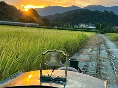 -福建土楼（华安）旅游区•大地土楼群