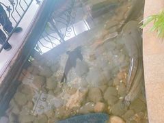 -九尊食上(生态园林酒店)