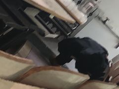 -马光荣肉丸糊辣汤(边东街店)