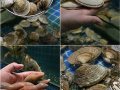 -烧货·活海鲜炭烧(湖滨商业街店)