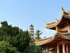 -江心屿景区