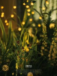 -美薇亭婚礼顾问