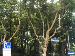 -疆Jiang·新疆秘制料理