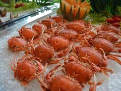 -南阳建业森林半岛假日酒店