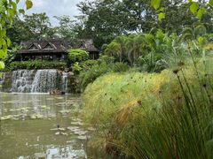 -中国科学院西双版纳热带植物园