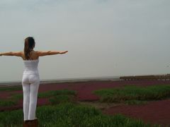 瑜伽少女，很美。-红海滩国家风景廊道