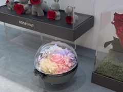 -ROSEONLY诺誓(广州K11店)