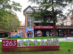 -华山263老字号品牌馆