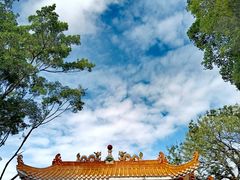 -深圳仙湖植物园