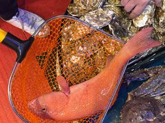 -吴记富苑(朝阳店)