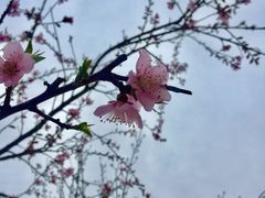 -青岛市图书馆