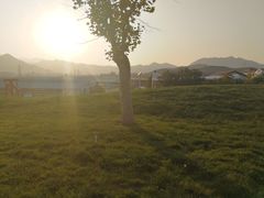 -君乐宝优致牧场
