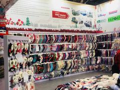 -东浩兰生上海世博展览馆