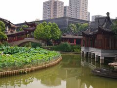 -龙潭水乡