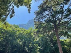 -北京上方山国家森林公园