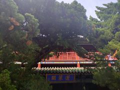 -蓬莱阁景区