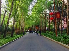 -长春公园(普阳街道)