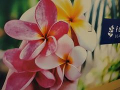 -千枝花·按摩·美容·经络SPA(建旺大厦店)