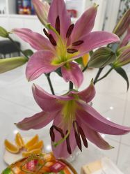 -瓷肌博士·祛痘科技美肤