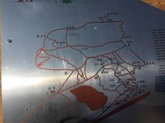 -石老人观光园