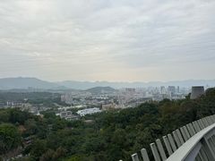 -福道