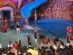-烟台海昌鲸鲨海洋公园