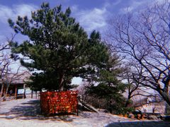 -香山公园