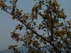 -鹫峰国家森林公园