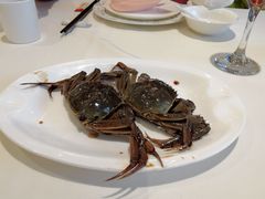 梅菜扣肉-绍兴饭店知遇楼(环山路店)
