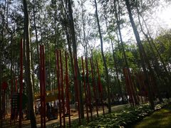 -仁和公园(顺义区)