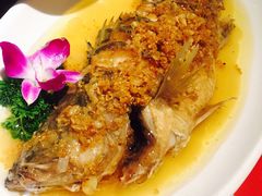 -吴记酱骨炖菜馆(康安路店)